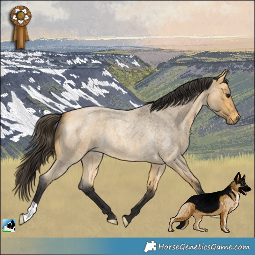 Horse Color:Buckskin Roan 