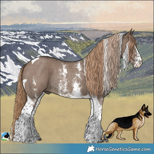 Horse Color:Liver Red Dun Sabino Tobiano Rabicano
