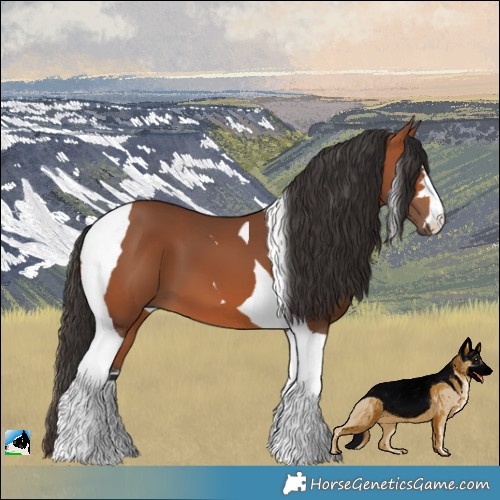 Horse Color:Bay Tobiano