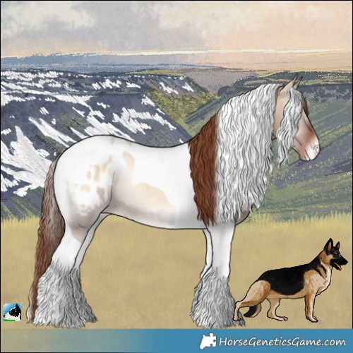 Horse Color:Red Dun Onyx Tobiano Appaloosa Rabicano 