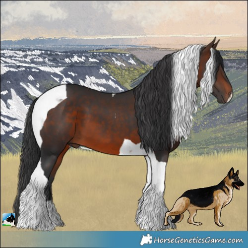 Horse Color:Brown Tobiano