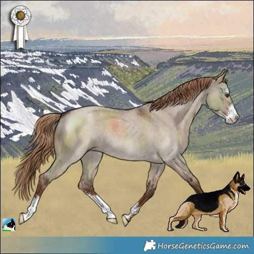 Horse Color:Liver Red Dun Roan Sabino 