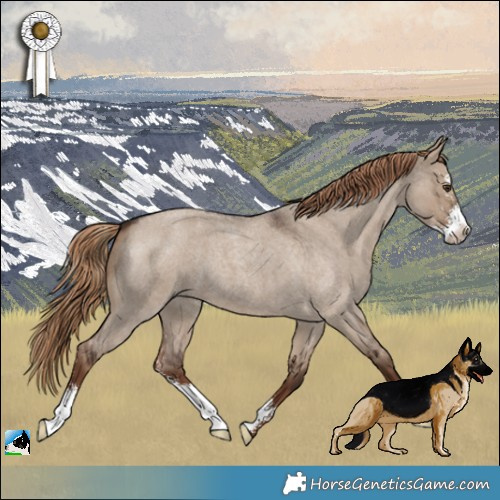 Horse Color:Liver Red Dun Roan Sabino