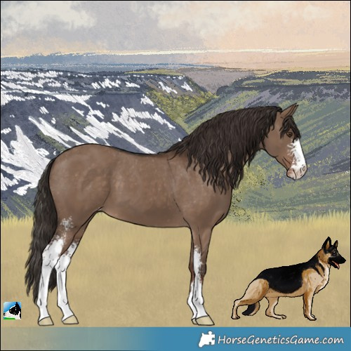 Horse Color:Liver Red Dun Sabino Varnish