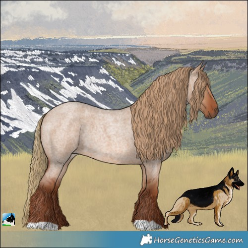 Horse Color:Red Dun Roan Rabicano 