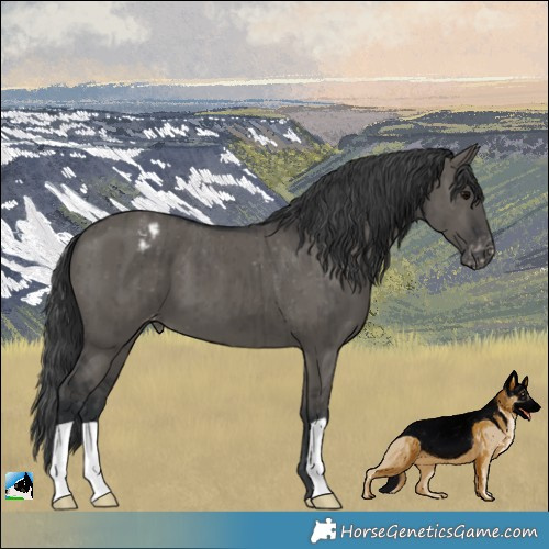 Horse Color:Grullo Varnish Brindle 