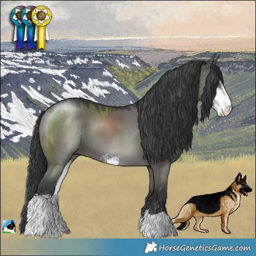 Horse Color:Grullo Sabino 