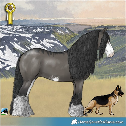 Horse Color:Grullo Sabino