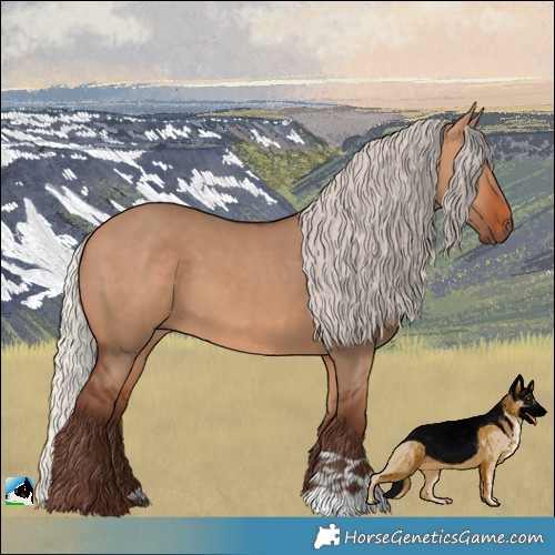 Horse Color:Silver Bay Dun 