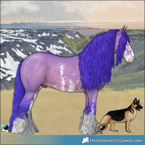 Horse Color:Watercolor Liver Red Dun Sabino 