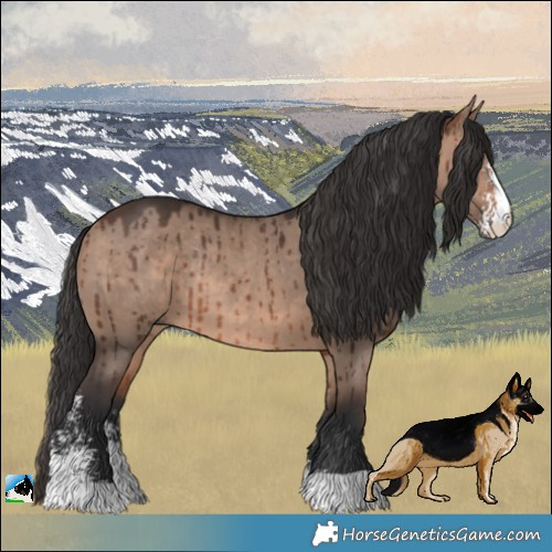 Horse Color:Brown Dun Mushroom Sabino Rabicano Brindle