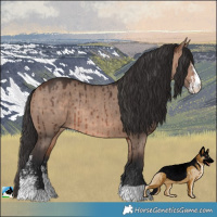 Horse Color:Brown Dun Mushroom Sabino Rabicano Brindle 