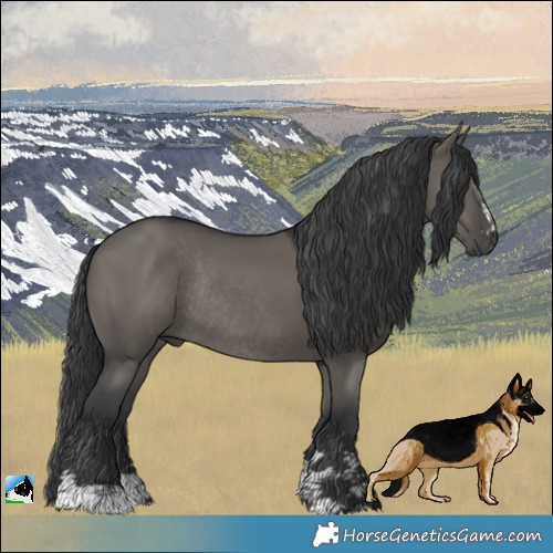 Horse Color:Grullo Rabicano 