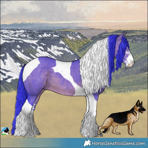 Horse Color:Watercolor Brown Dun Sabino Tobiano 