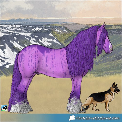 Horse Color:Watercolor Grullo Rabicano Brindle 