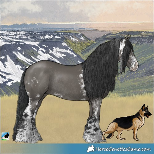 Horse Color:Grullo Sabino Rabicano 