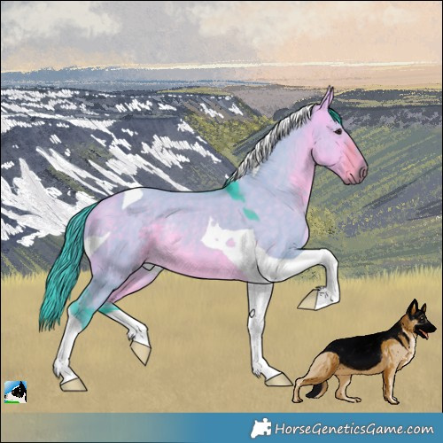 Horse Color:Watercolor Buckskin Dun Tobiano Rabicano