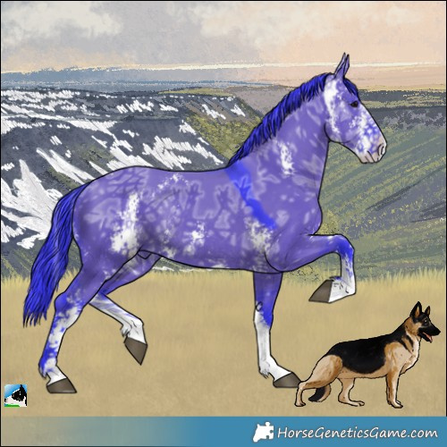 Horse Color:Watercolor Grullo Ice Sabino Rabicano