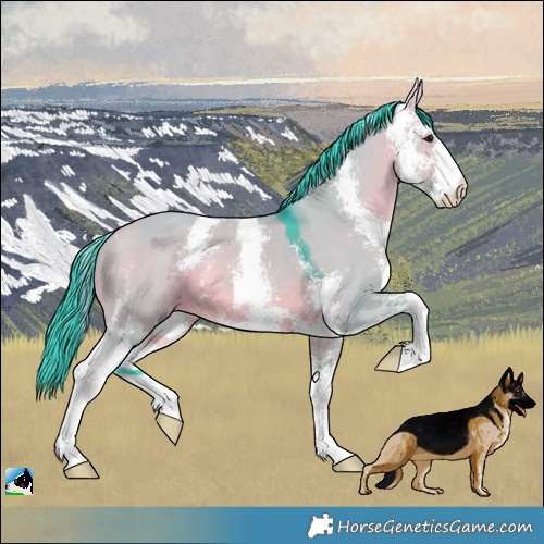 Horse Color:Watercolor Bay Dun Sabino 