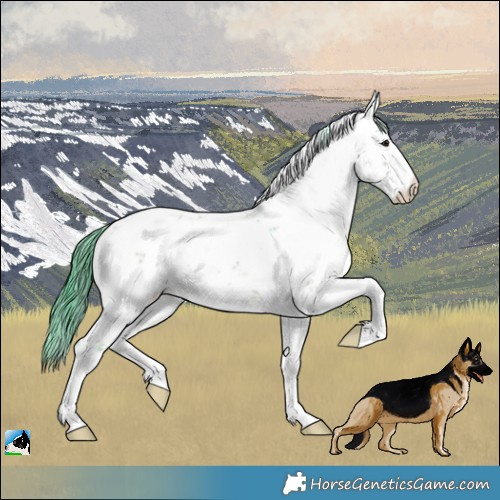 Horse Color:Watercolor Brown Dun Sabino 