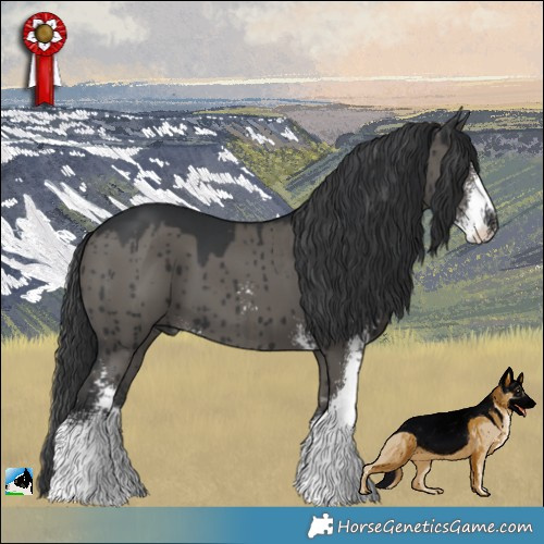 Horse Color:Grullo Sabino Brindle