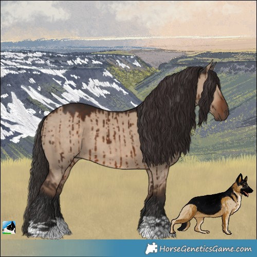 Horse Color:Liver Red Dun Brindle 