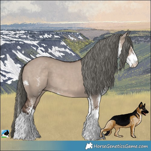 Horse Color:Liver Red Dun Mushroom Sabino 