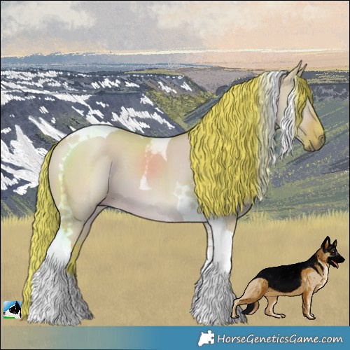Horse Color:Watercolor Liver Red Dun Tobiano 