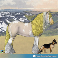 Horse Color:Watercolor Liver Red Dun Tobiano