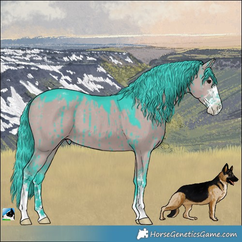 Horse Color:Watercolor Grullo Sabino Varnish Brindle