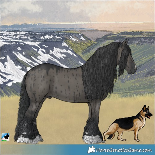 Horse Color:Grullo Mushroom Brindle 