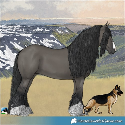 Horse Color:Grullo 