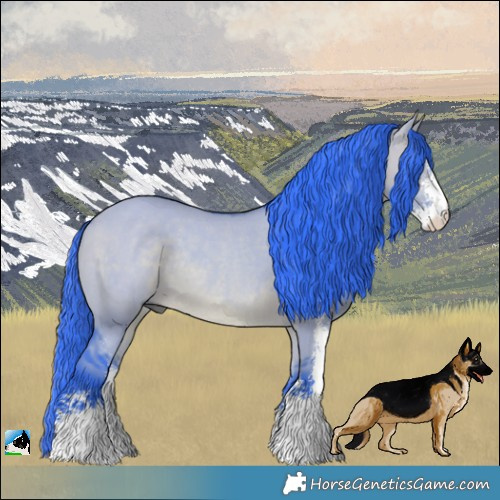 Horse Color:Watercolor Brown Dun Sabino Rabicano 