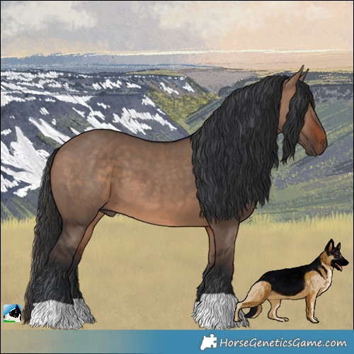 Horse Color:Brown Dun 