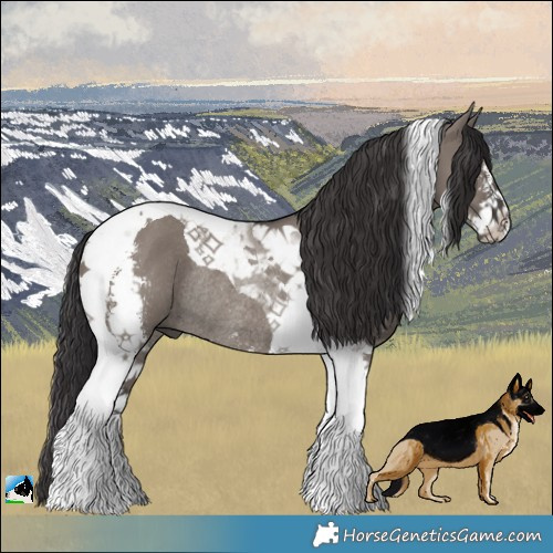 Horse Color:Smoky Grullo Sabino Tobiano Rabicano 