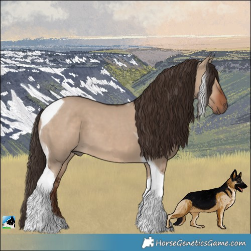 Horse Color:Liver Red Dun Tobiano 