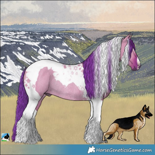 Horse Color:Watercolor Liver Red Dun Tobiano Rabicano
