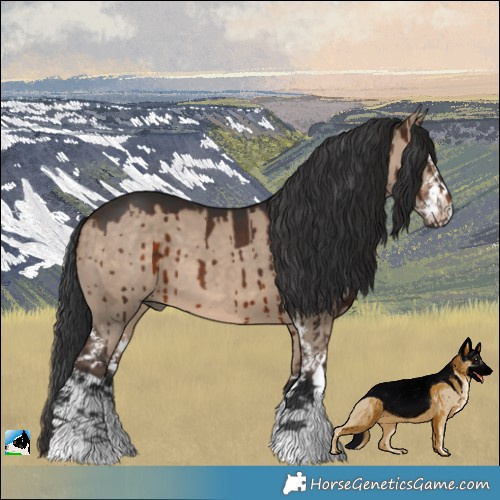 Horse Color:Brown Dun Sabino Brindle