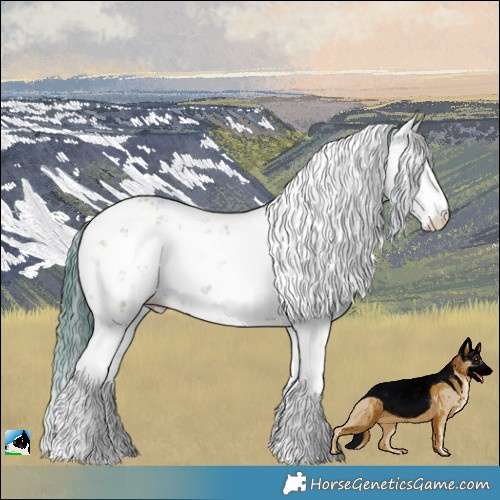 Horse Color:Watercolor Grullo Mushroom Sabino 