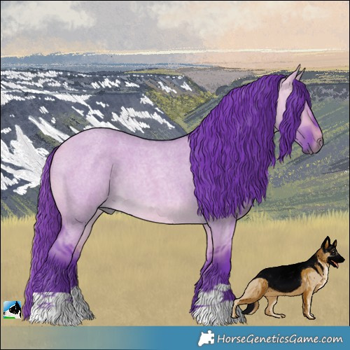 Horse Color:Watercolor Buckskin Roan Dun Mushroom 
