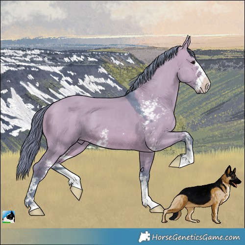 Horse Color:Watercolor Brown Dun Sabino 