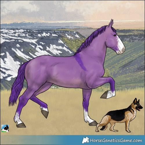 Horse Color:Watercolor Brown Dun Sabino 