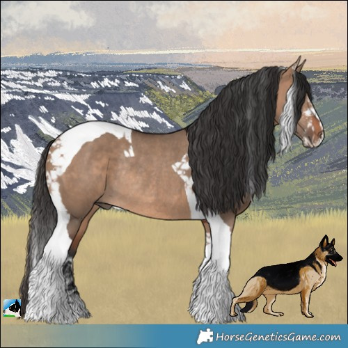 Horse Color:Brown Dun Sabino Tobiano Rabicano 