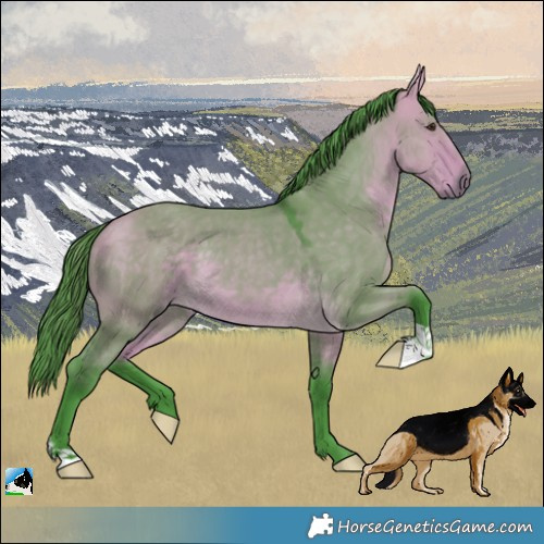 Horse Color:Watercolor Buckskin Dun 