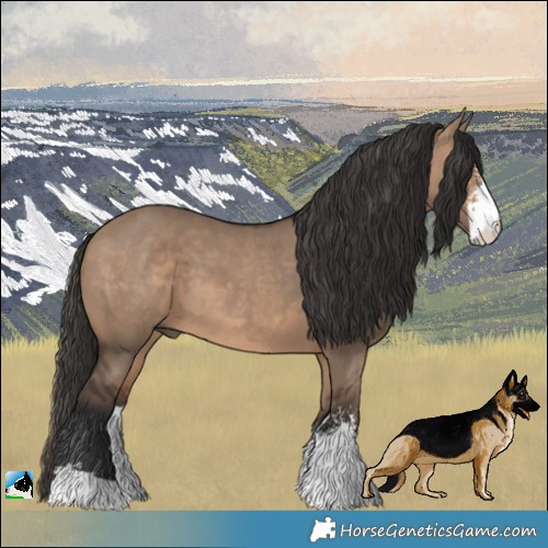 Horse Color:Brown Dun Sabino 