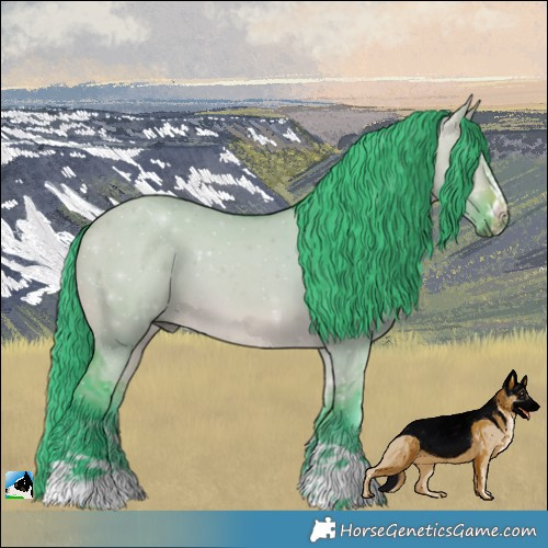 Horse Color:Watercolor Bay Dun 