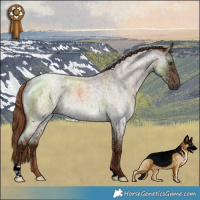 Horse Color:Red Dun Ice Roan Rabicano 