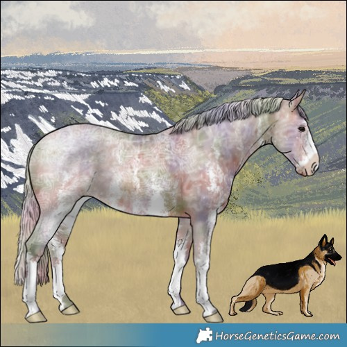 Horse Color:Nacre Silver Bay Ice Sabino 