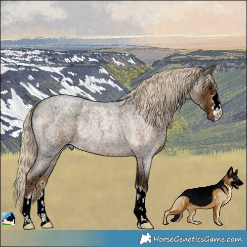 Horse Color:Chocolate Palomino Ice Roan Rabicano 