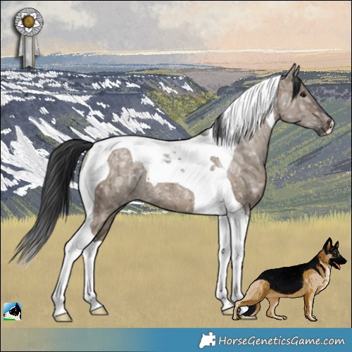Horse Color:Brown Ice Dun Tobiano Rabicano Brindle 